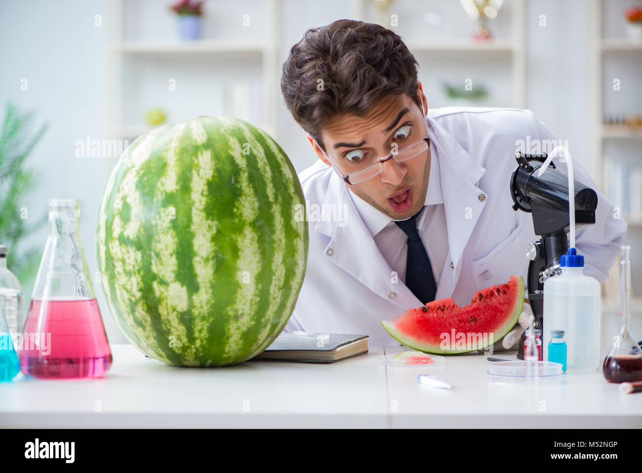 Watermelon Making Lab Watermelon test hi-res stock photography and images - Alamy