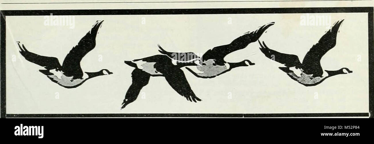 "Rod and gun" (1898 Stock Photo Alamy