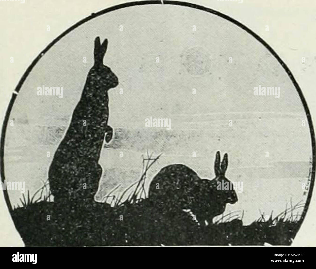 'Rod and gun' (1898) Stock Photo