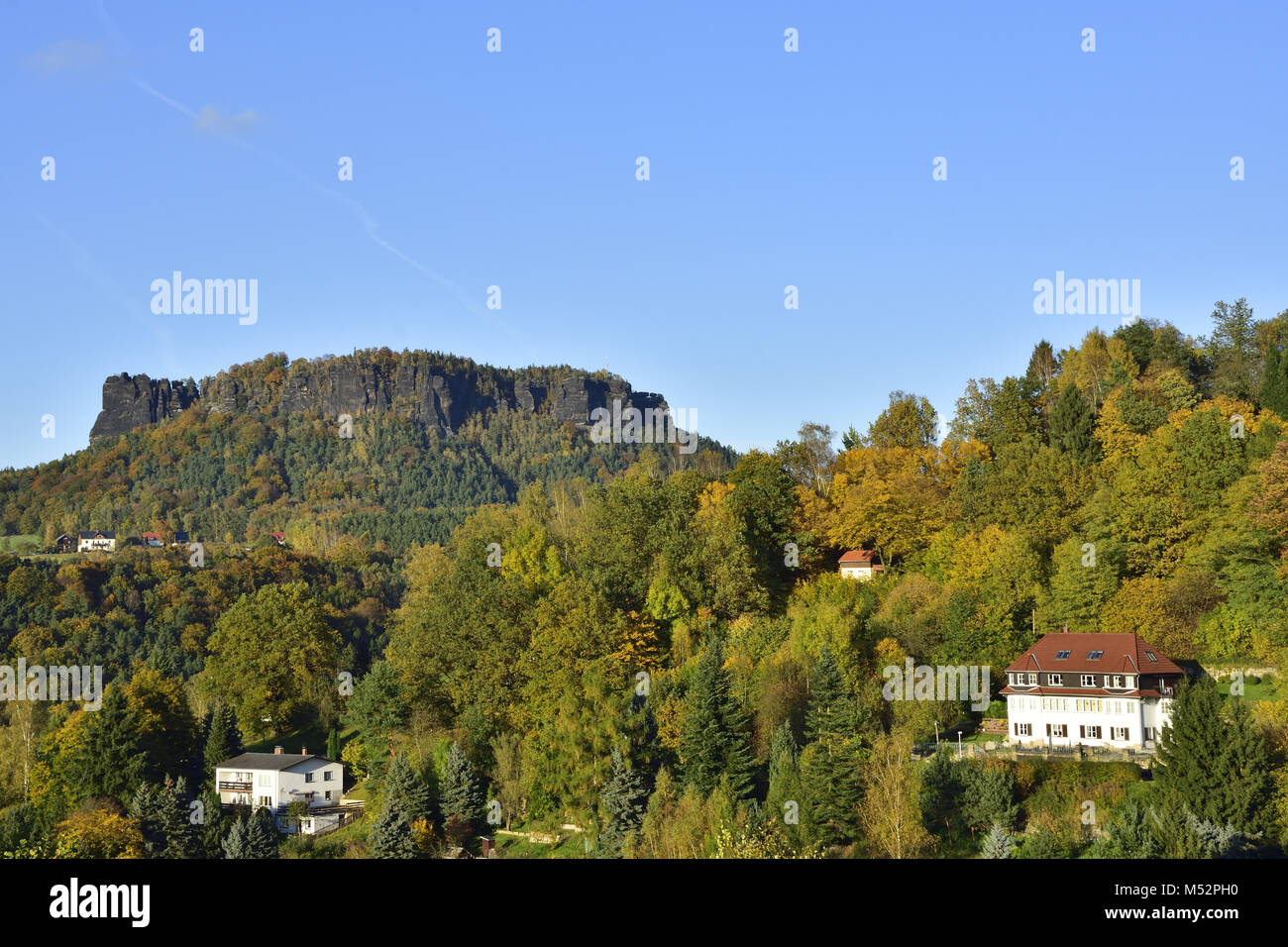 Tree in saxon switzerland hi-res stock photography and images - Alamy