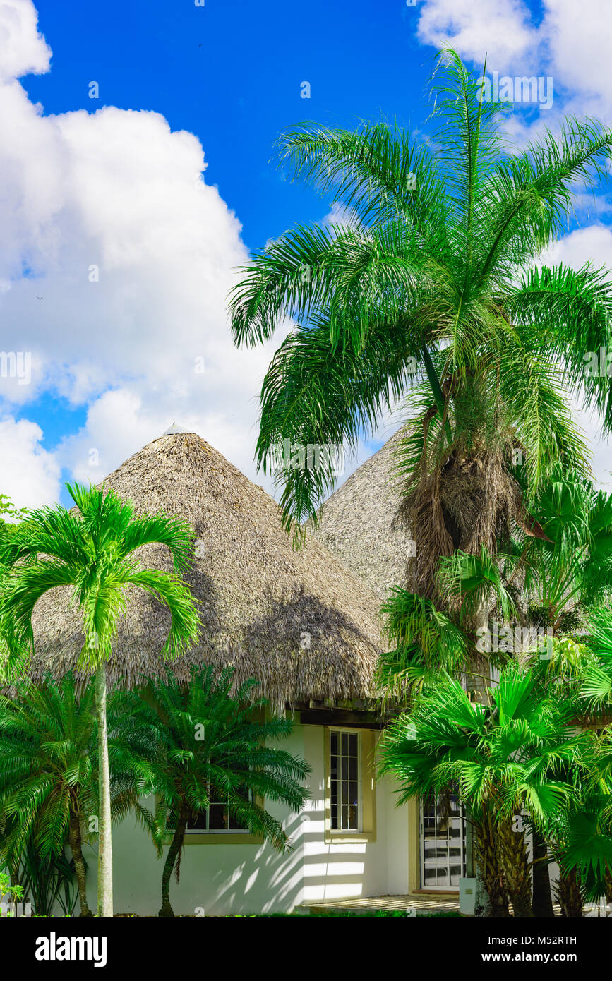 house with a roof made of palm branches Stock Photo - Alamy