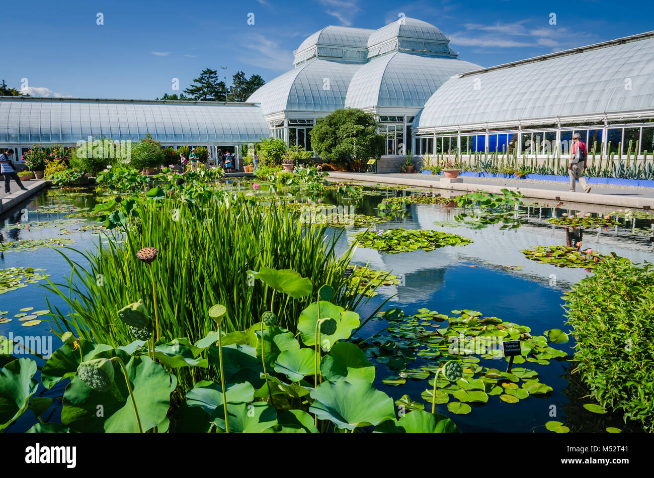 The Enid A. Haupt Conservatory is a greenhouse in the New York Botanical Garden in Bronx, New York,  the living museum, educational institution, and p Stock Photo