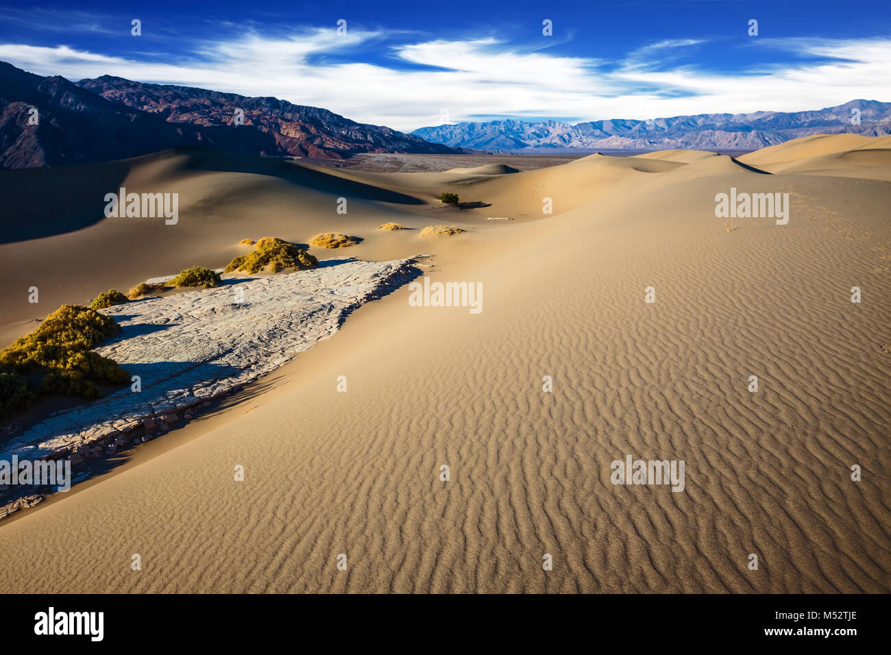 The gentle curves of sand dunes Stock Photo