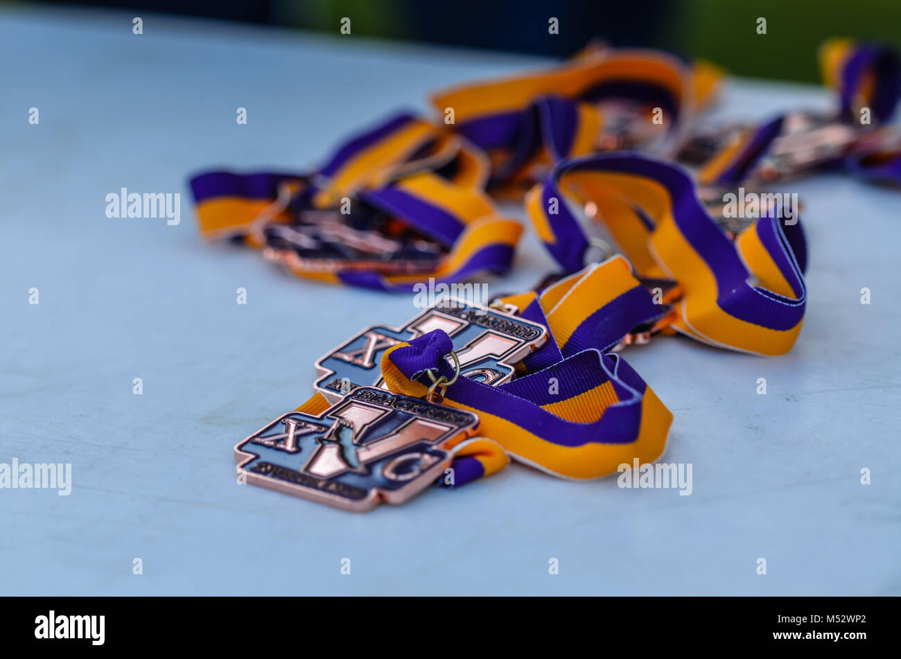 Bronze cross country medals on purple and gold ribbons. Stock Photo