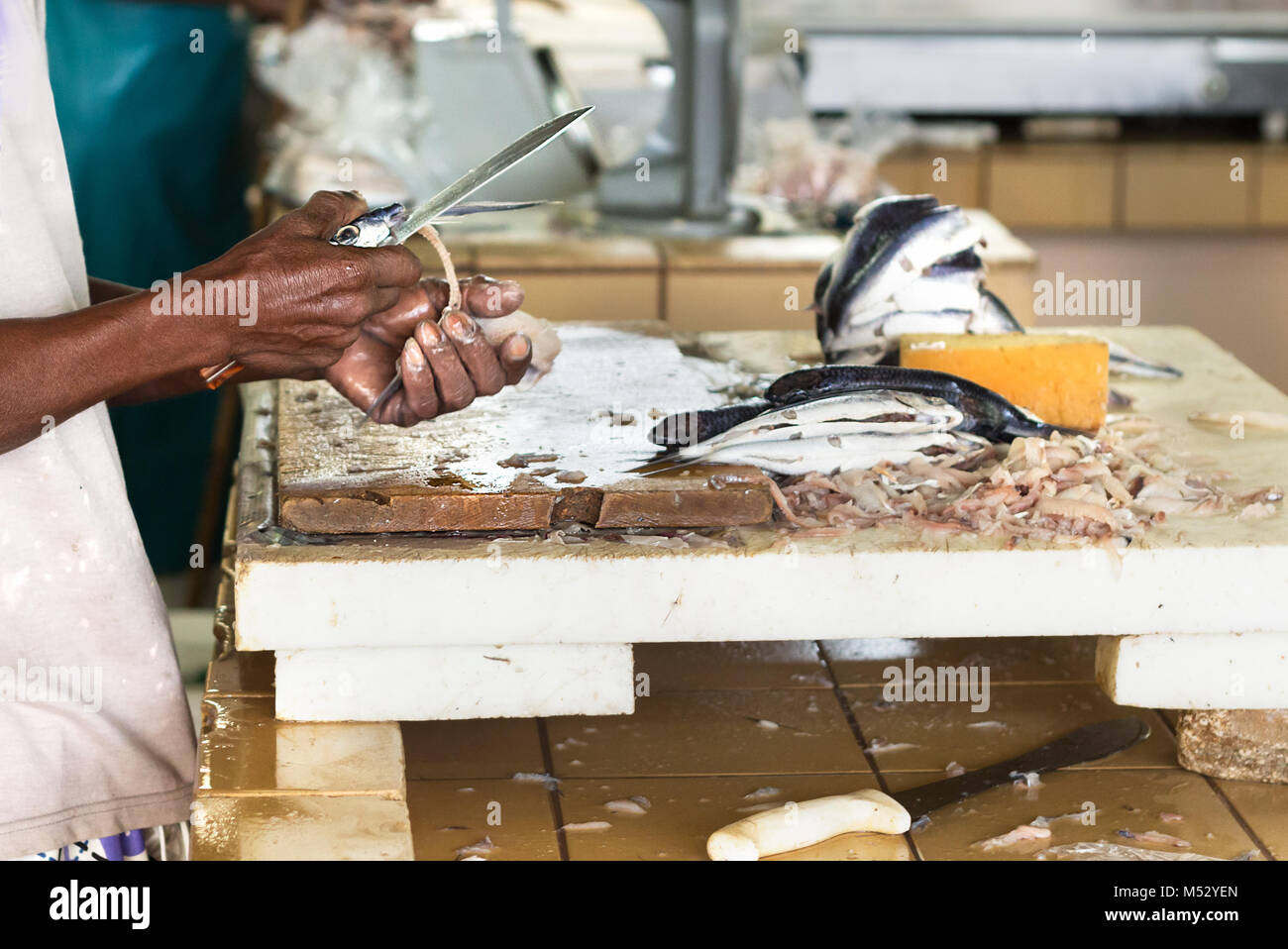 A worker at the Bridgetown Fish Market is preparing and cutting flying fish for sale. Stock Photo
