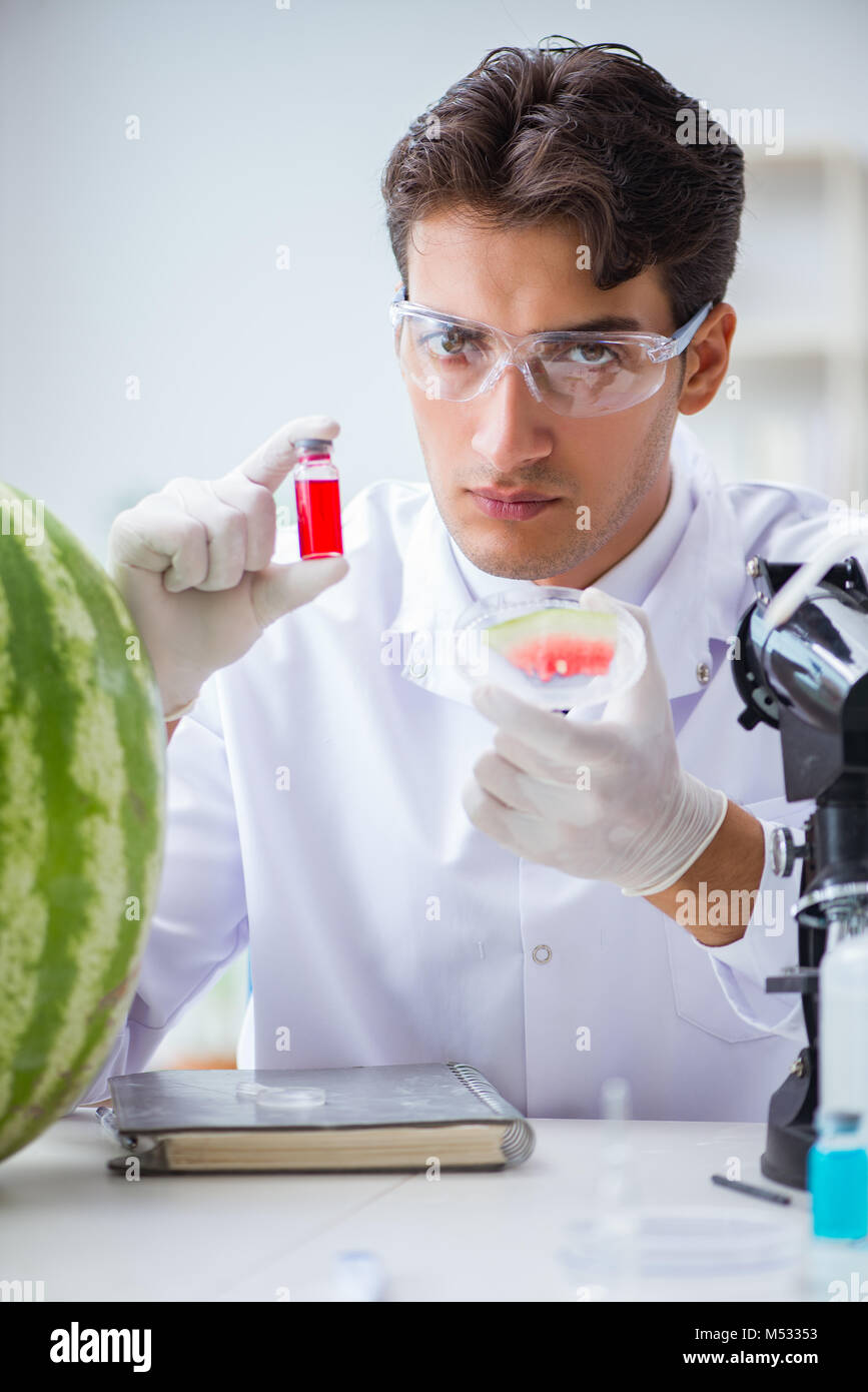 Scientist testing watermelon in lab Stock Photo - Alamy
