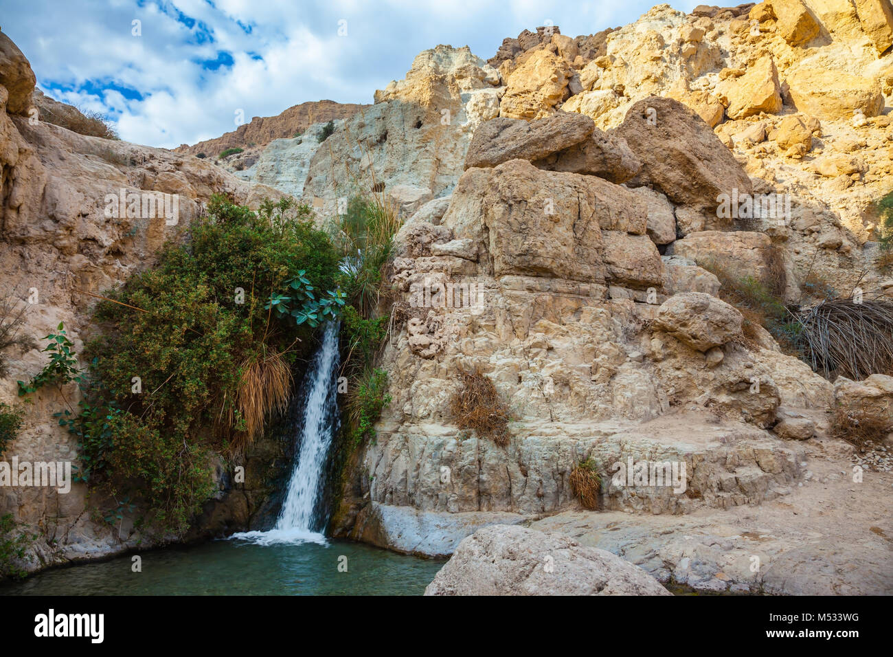 The national park and reserves Ein Gedi, Israel Stock Photo