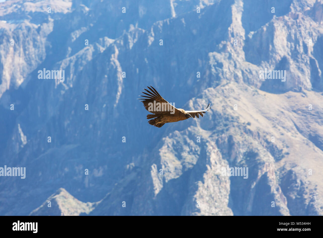 Authent hi-res stock photography and images - Alamy