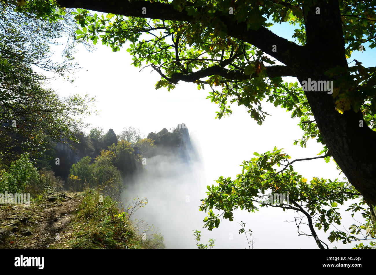 Danube valley; Nature park; swabian alb; Germany; Stock Photo