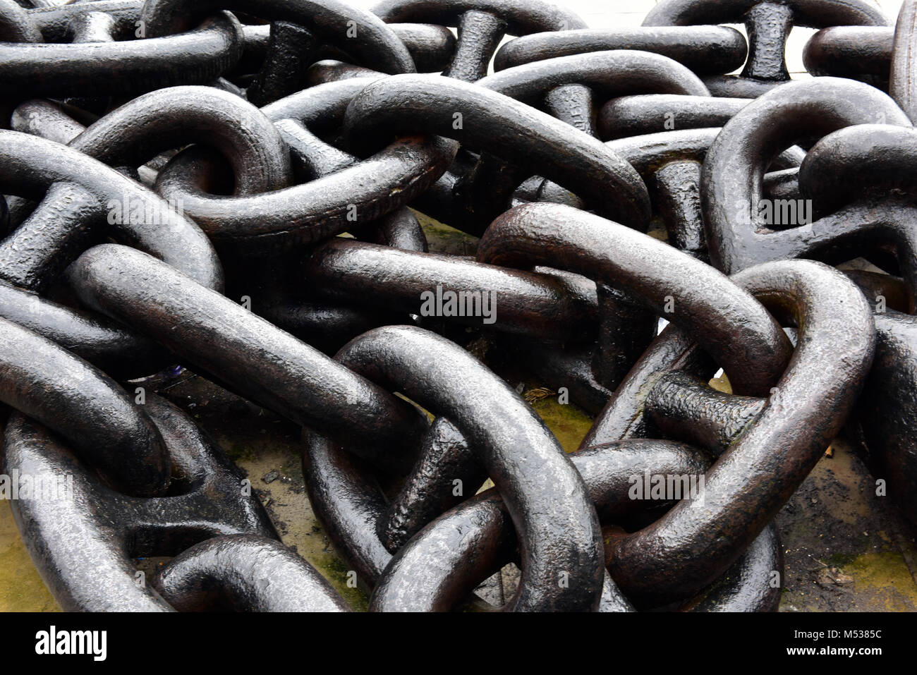 a very large chain used for a ships anchor with specially engineered links and lugless joining shackles. Large wet rusty and corroded mooring chains. Stock Photo