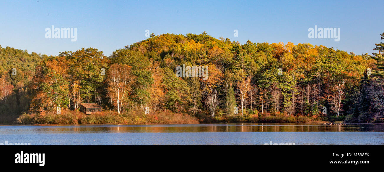 An idyllic scene of a small vacation cabin nestled into colourful Autumn woodland trees on a lake with Canada geese in Lisbon, NH, USA. Stock Photo