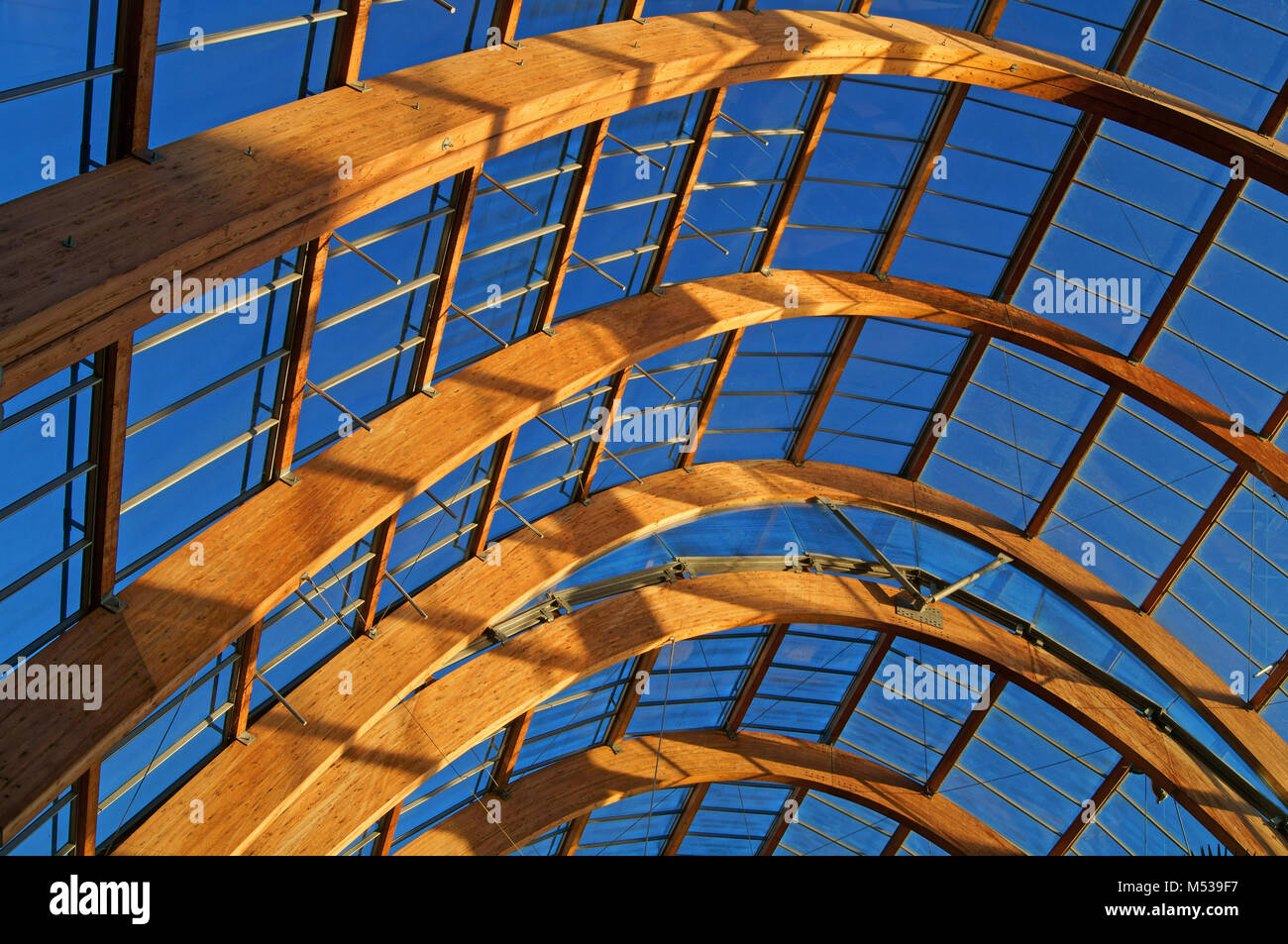 UK,South Yorkshire,Sheffield,Roof of Winter Gardens Stock Photo Alamy