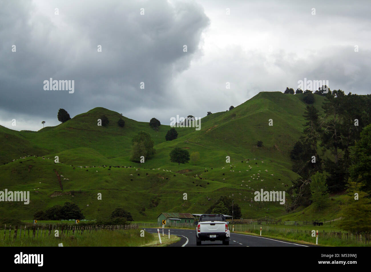 Car driving through beautiful road surronded by vibrant rolling green hills Stock Photo