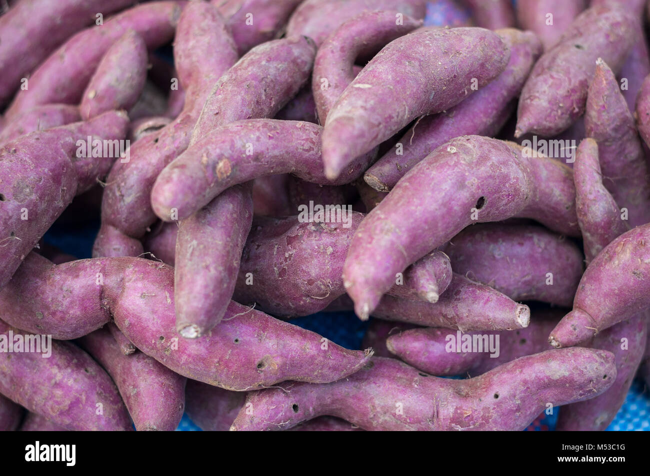Purple yam hires stock photography and images Alamy