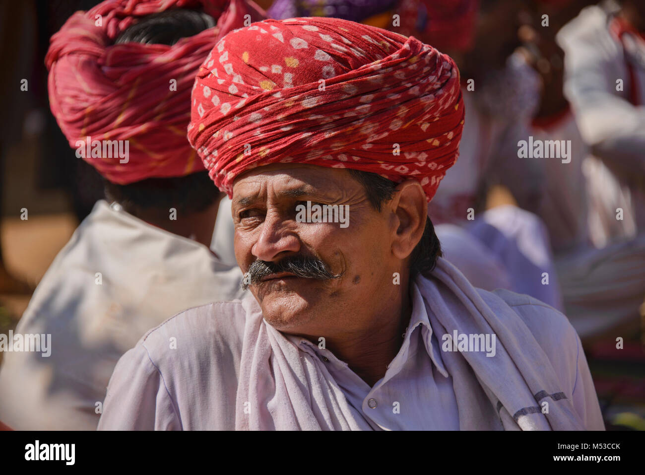 Rajasthani man with his colorful turban, Rajasthan, India Stock Photo ...