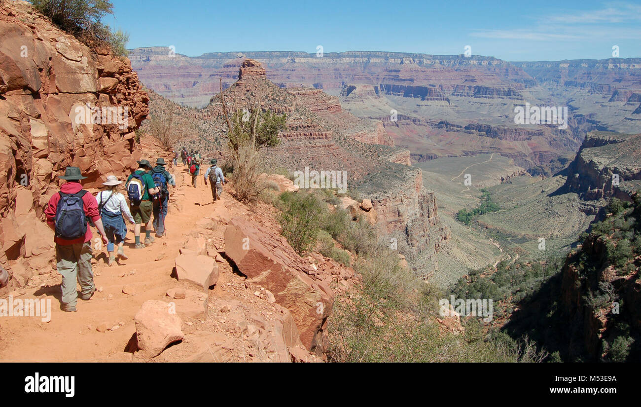 Grand Canyon NP Bright Angel Trail Group Hiking . While the South Kaibab Trail follows a ridge line, the Bright Angel Trail follows the head of a side canyon. Views on the Bright Angel Trail are framed by massive cliffs, and by virtue of being a shadier trail with natural water sources, there is more plant life and animal life along the Bright Angel Trail than on the South Kaibab Trail. These features make the Bright Angel Trail ap Stock Photo