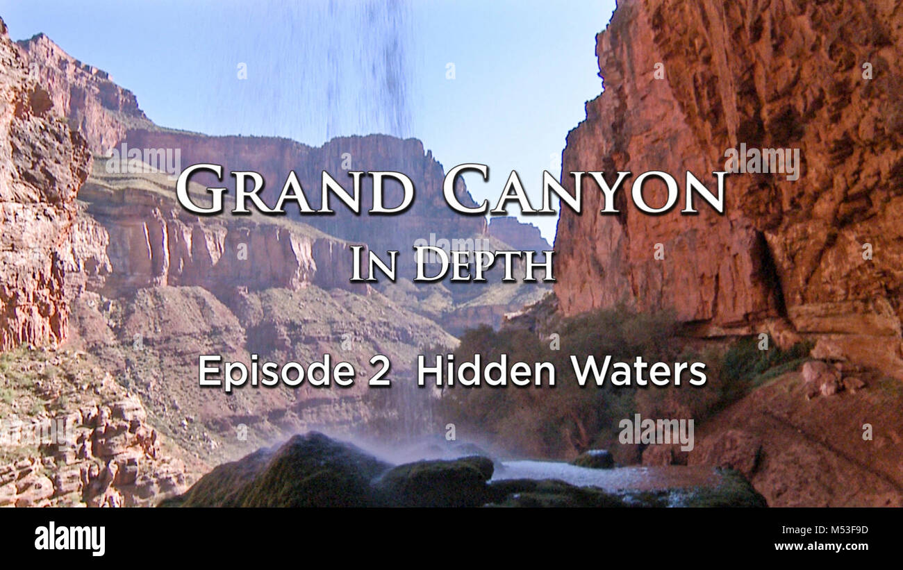 Hidden Waters - Grand Canyon in Depth Video Series   In Episode 2 Hidden Waters, Travel with Grand Canyon National Park hydrologist, Cynthia Valle, Museum of Northern Arizona ecologist, Dr. Larry Stevens and University of New Mexico Geochemist, Dr. Laura J. Crossey to explore springs hidden deep within Grand Canyon.   Water is critical to life and even more vital during this drought. Take a moment and discover how precious water is to Grand Canyon. - Ryan Christensen, filmmaker and series producer.   The ecosystems of Grand Canyon's seeps and springs represent some of the most complicated, div Stock Photo