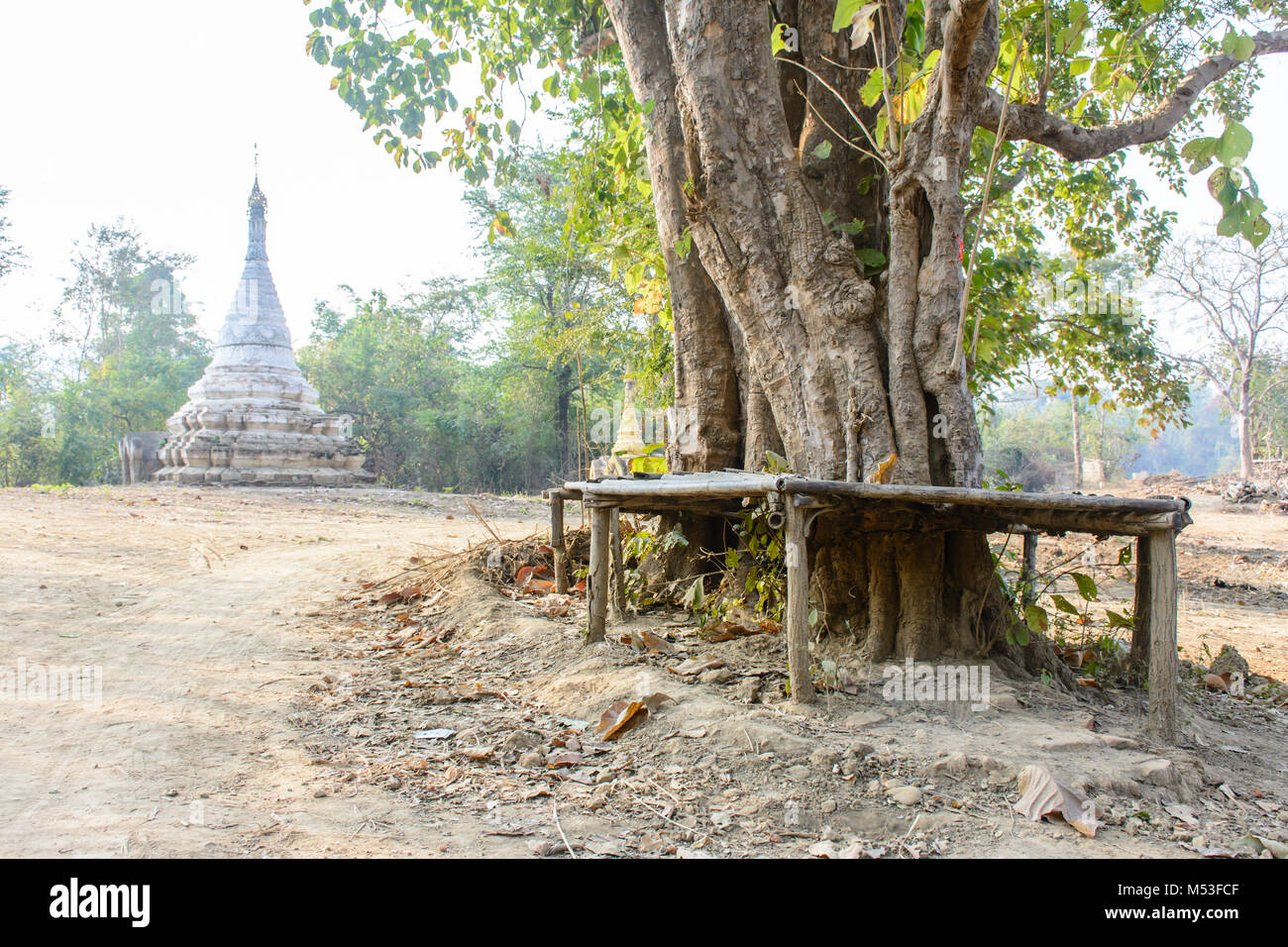 rural view of pagoda, tree and bench Stock Photo