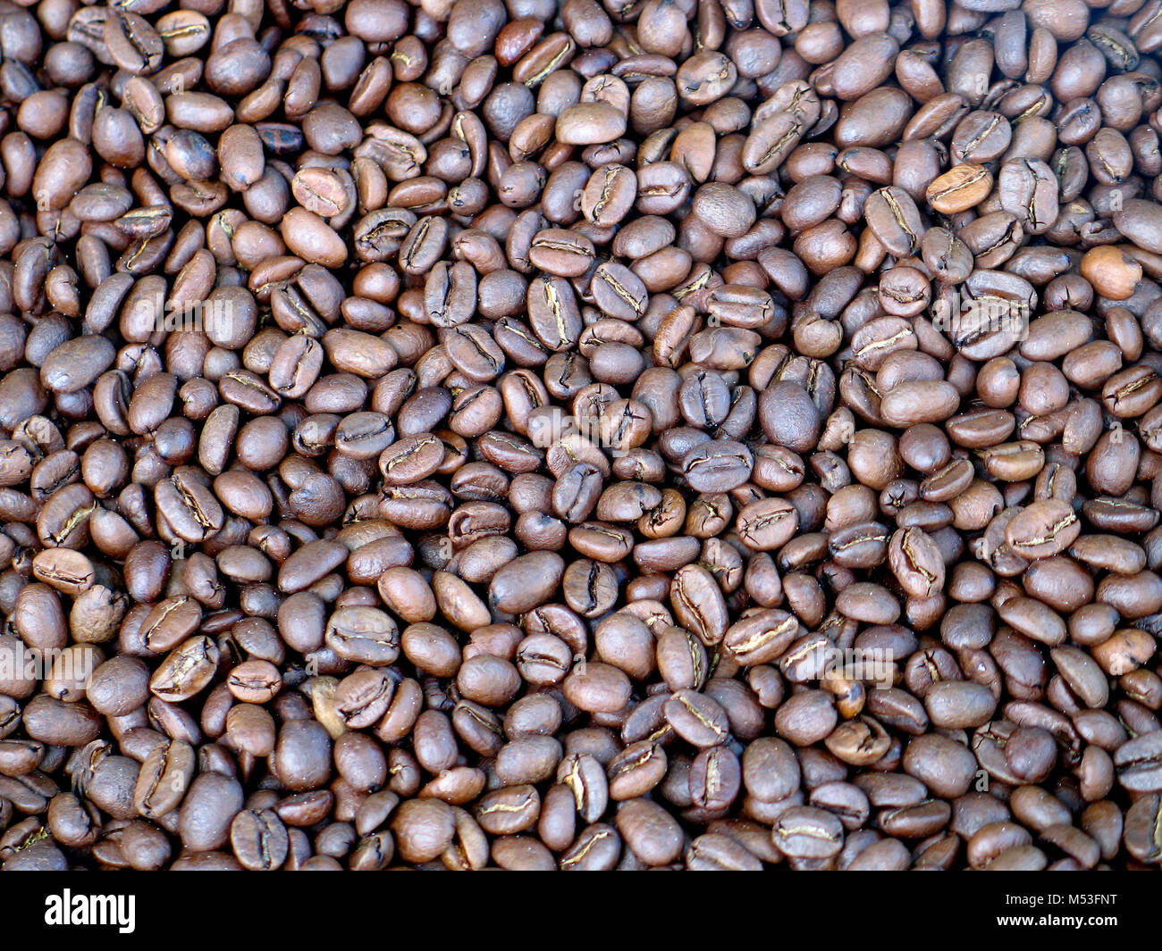 Roasted coffee beans closeup, may be used as background Stock Photo - Alamy
