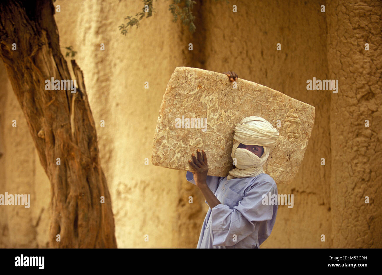 Mali. Timbuktu. Sahara desert. Sahel. Man carrying salt tablet on shoulder. The salt comes with camels from the salt mines of Taoudeni. Stock Photo