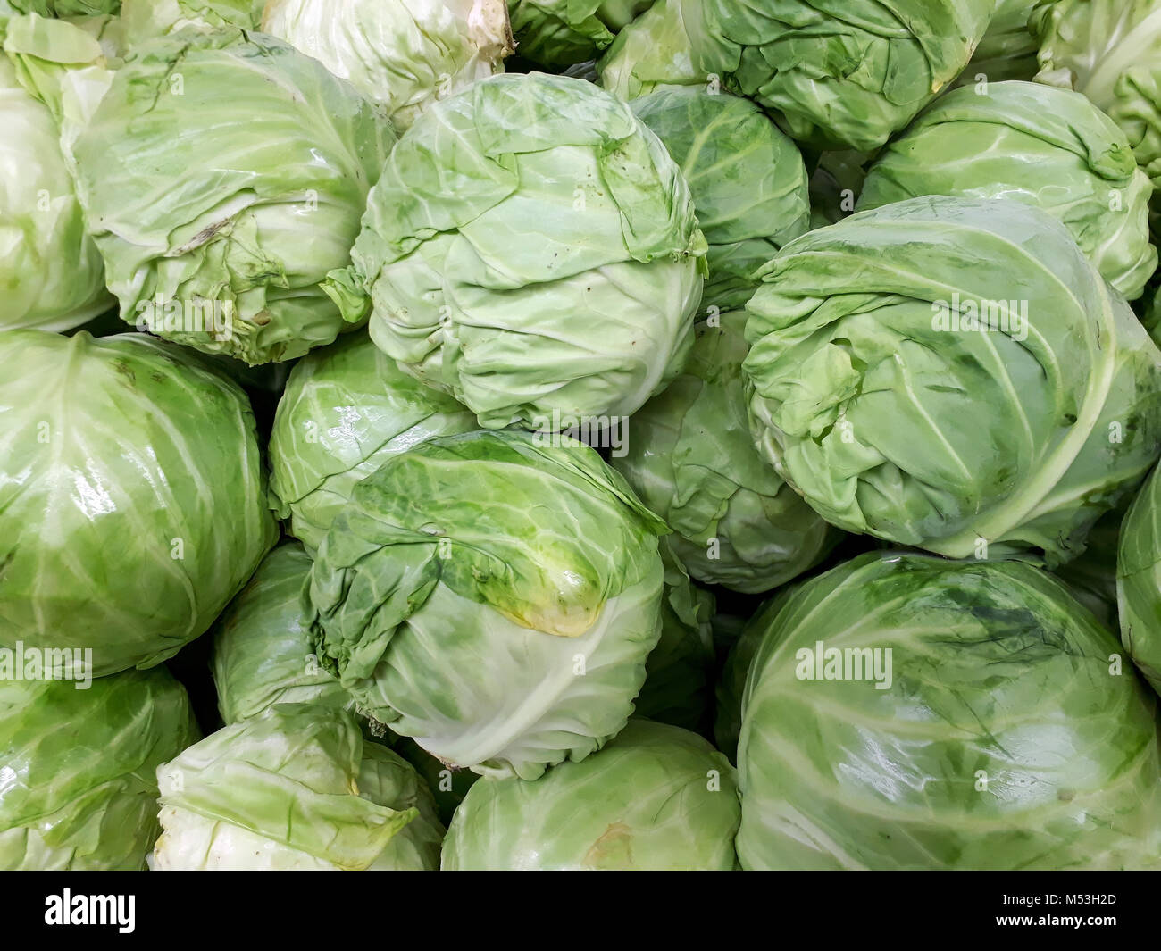 Pile of young cabbage heads close up, may be used as background Stock Photo
