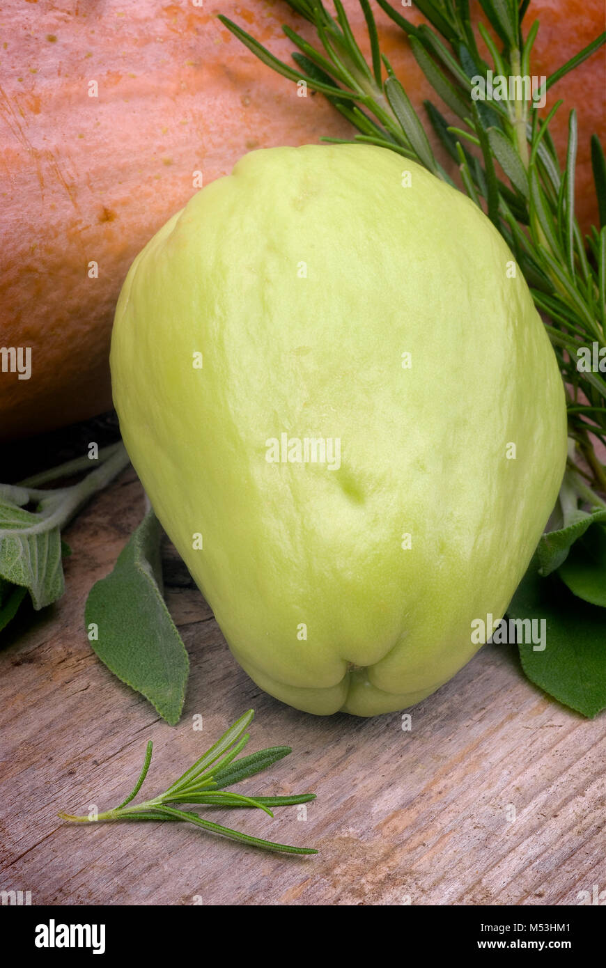 The chayote (Sechium edule) is a vegetable native to south america. Stock Photo