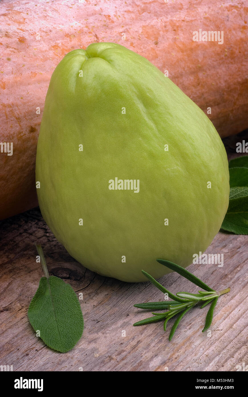 The chayote (Sechium edule) is a vegetable native to south america. Stock Photo