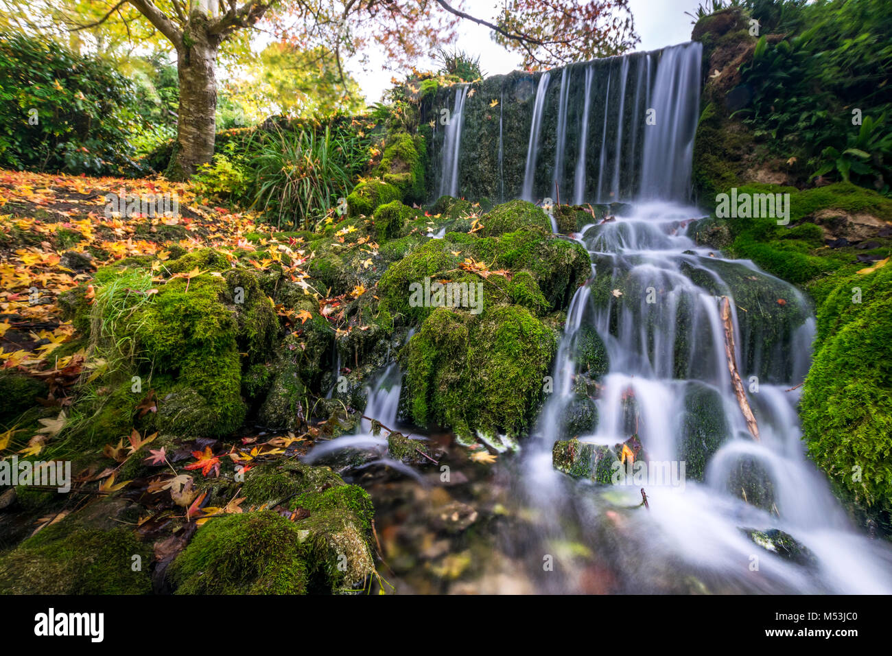 Litton Cheney High Resolution Stock Photography and Images Alamy