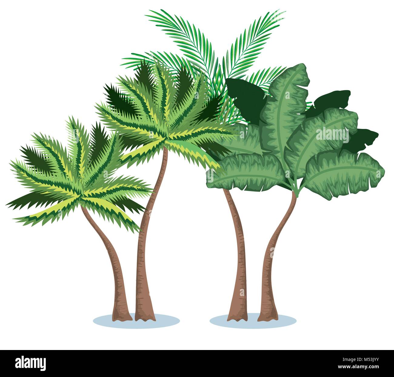 tropical and exotic palms tree Stock Vector Image & Art - Alamy