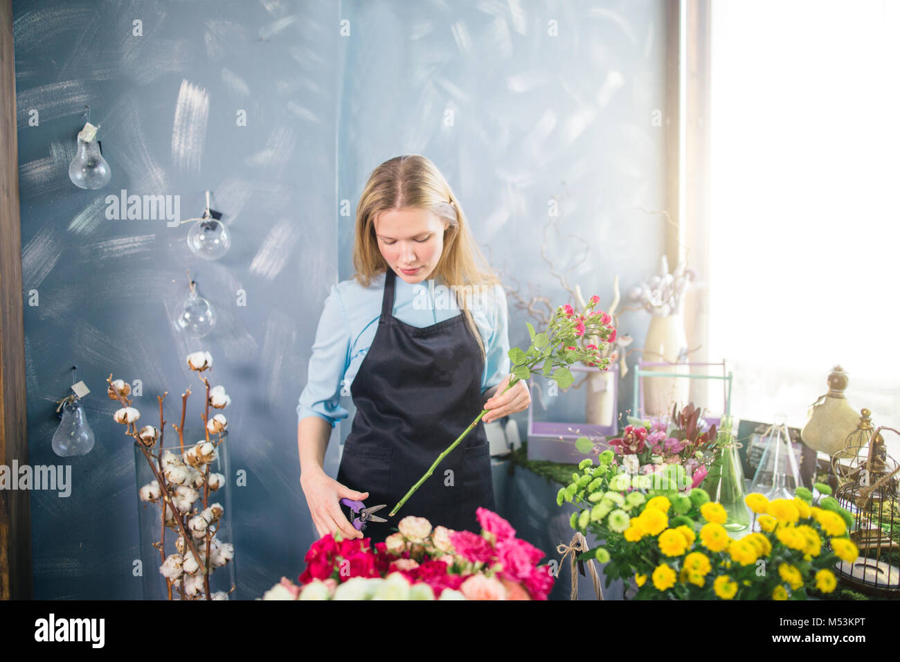 female with long fair hair wearing blue blouse and black apron doing ...