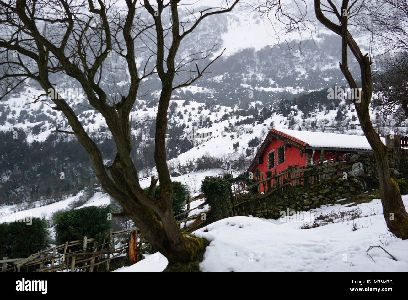 Red house by a snowy forest hi-res stock photography and images - Alamy