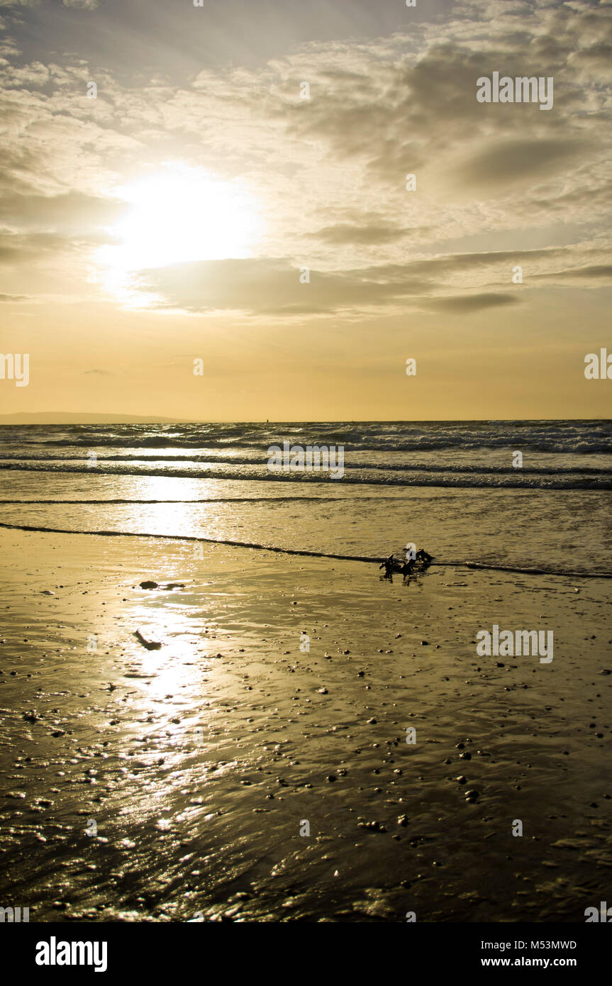 Irvine beach, North Ayrshire Stock Photo Alamy