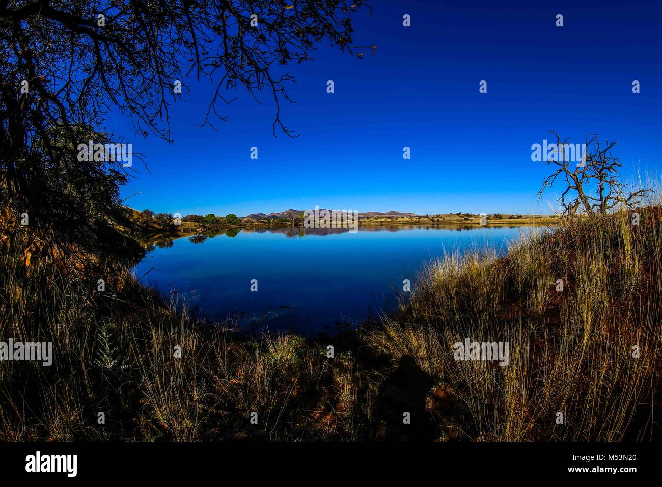 Cuenca del río y arroyo San Pedro, en el norte de Sonora, México. Posee ...