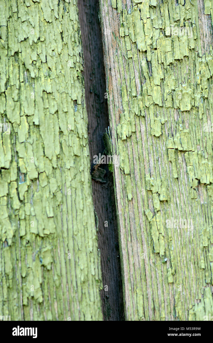 Wood Texture Background. Wooden plate close up Stock Photo - Alamy