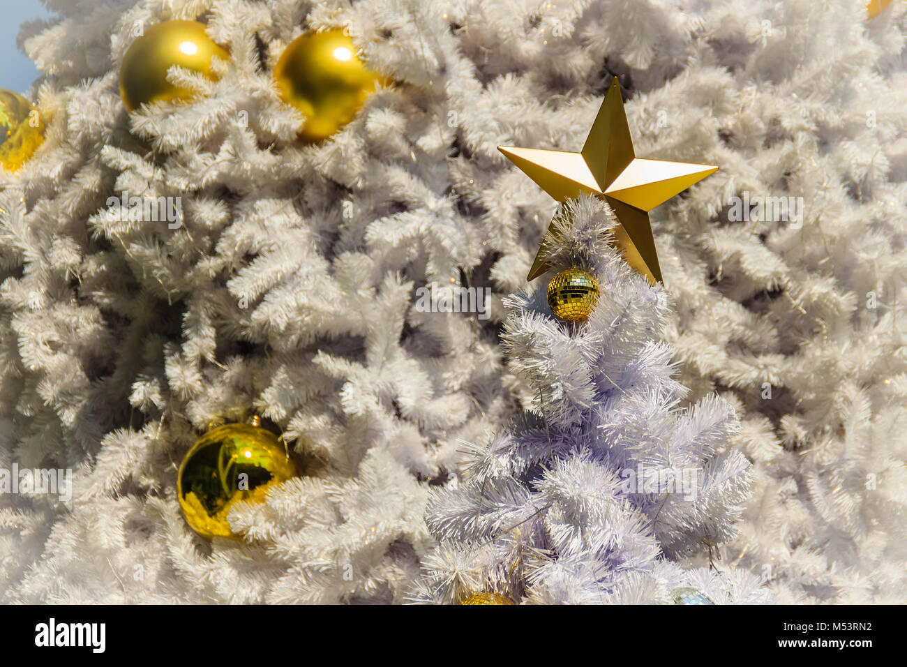 Beautiful Golden star and golden balls on the outdoor white Christmas ...