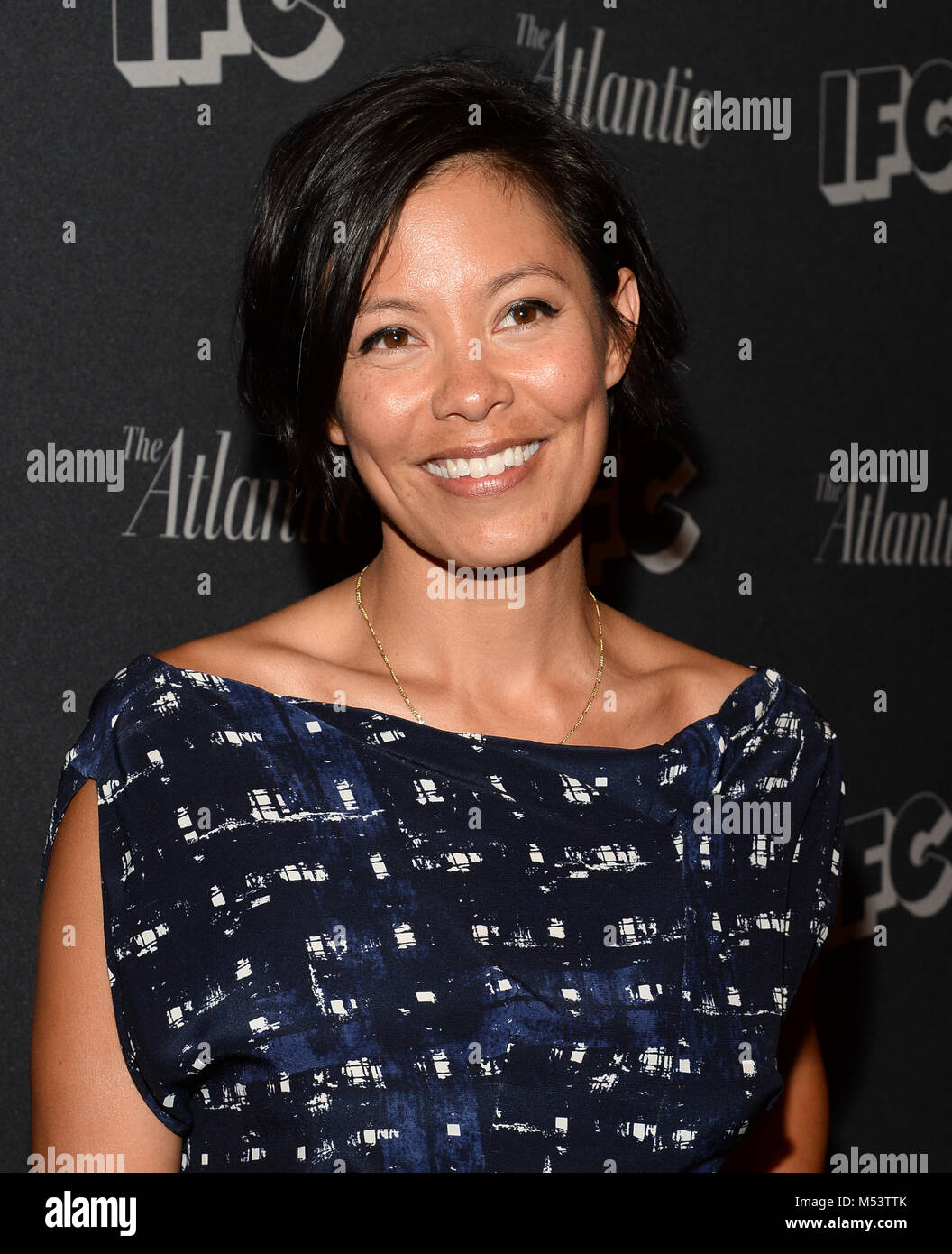 alex wagner | Hairstyle, Growing out short hair styles, Face shape  hairstyles
