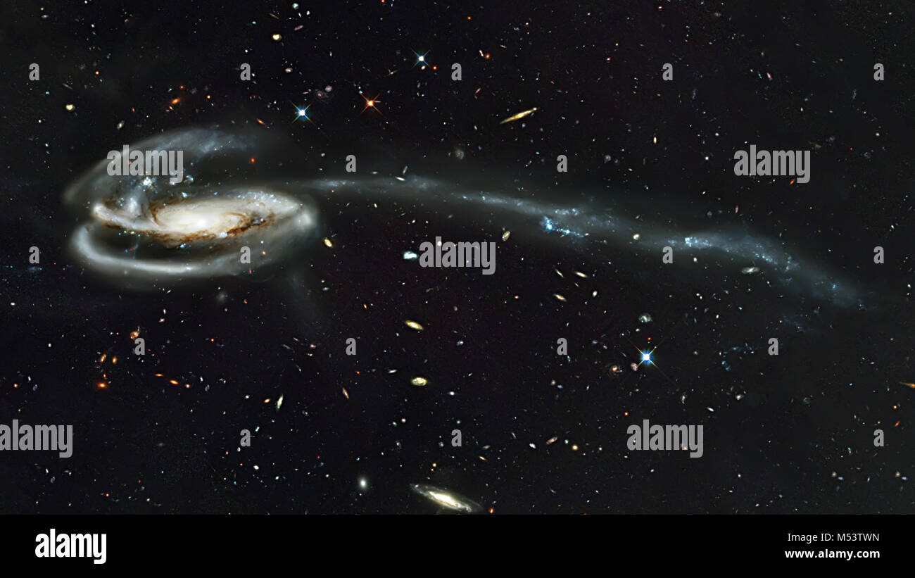 Tadpole galaxy