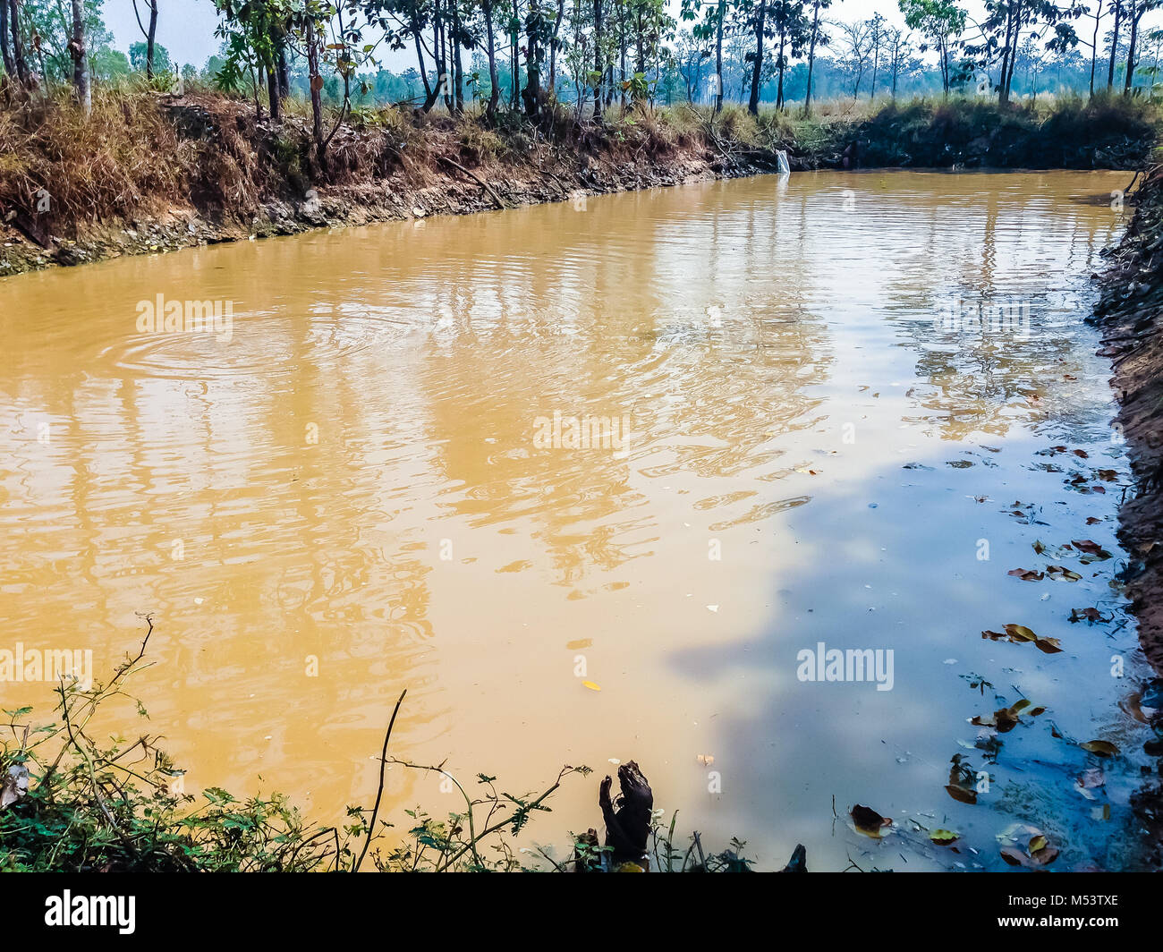 Turbid Water High Resolution Stock Photography and Images Alamy