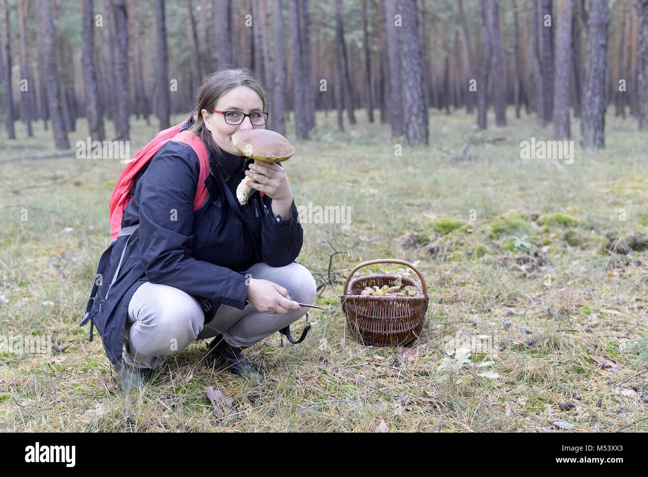 woman picking mushroomes Stock Photo