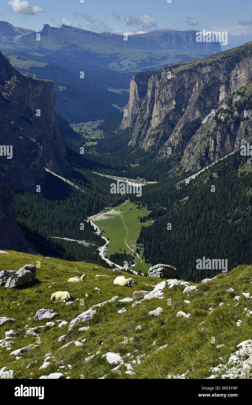 Dolomite Alps; South Tyrol; Italy; Vallunga; Langental; Stock Photo