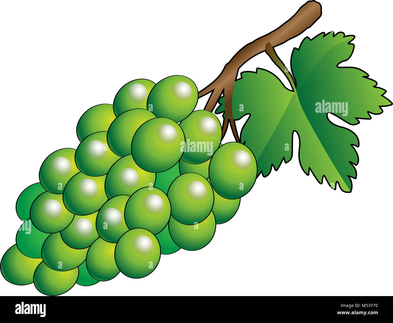 green grapes cartoon