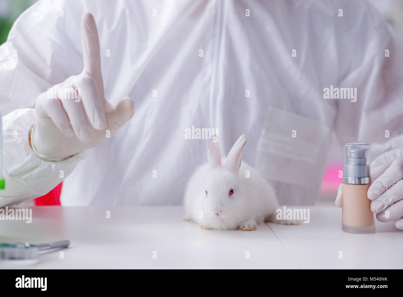 Scientist doing animal experiment in lab with rabbit Stock Photo Alamy