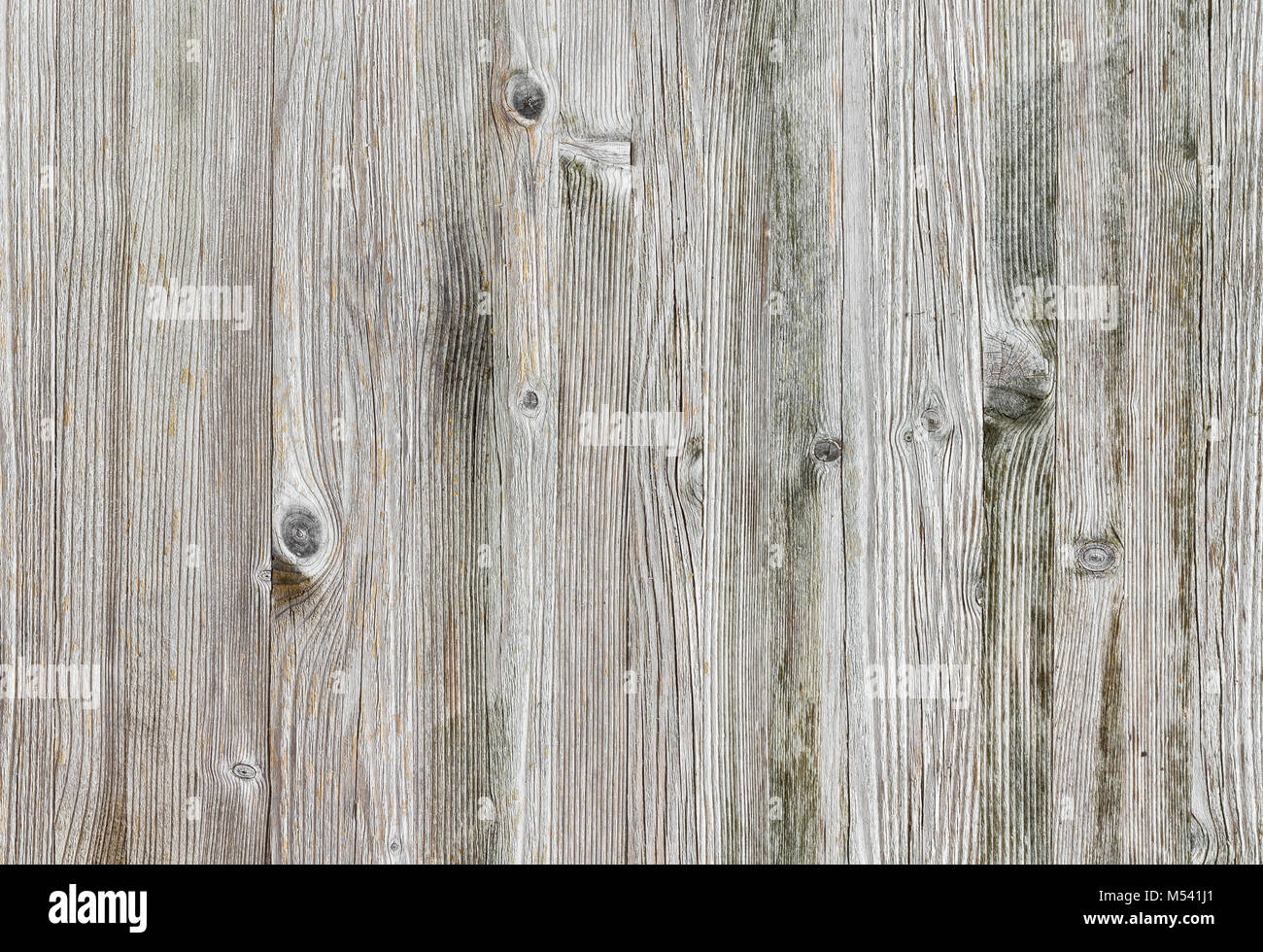 Light wood background Stock Photo - Alamy
