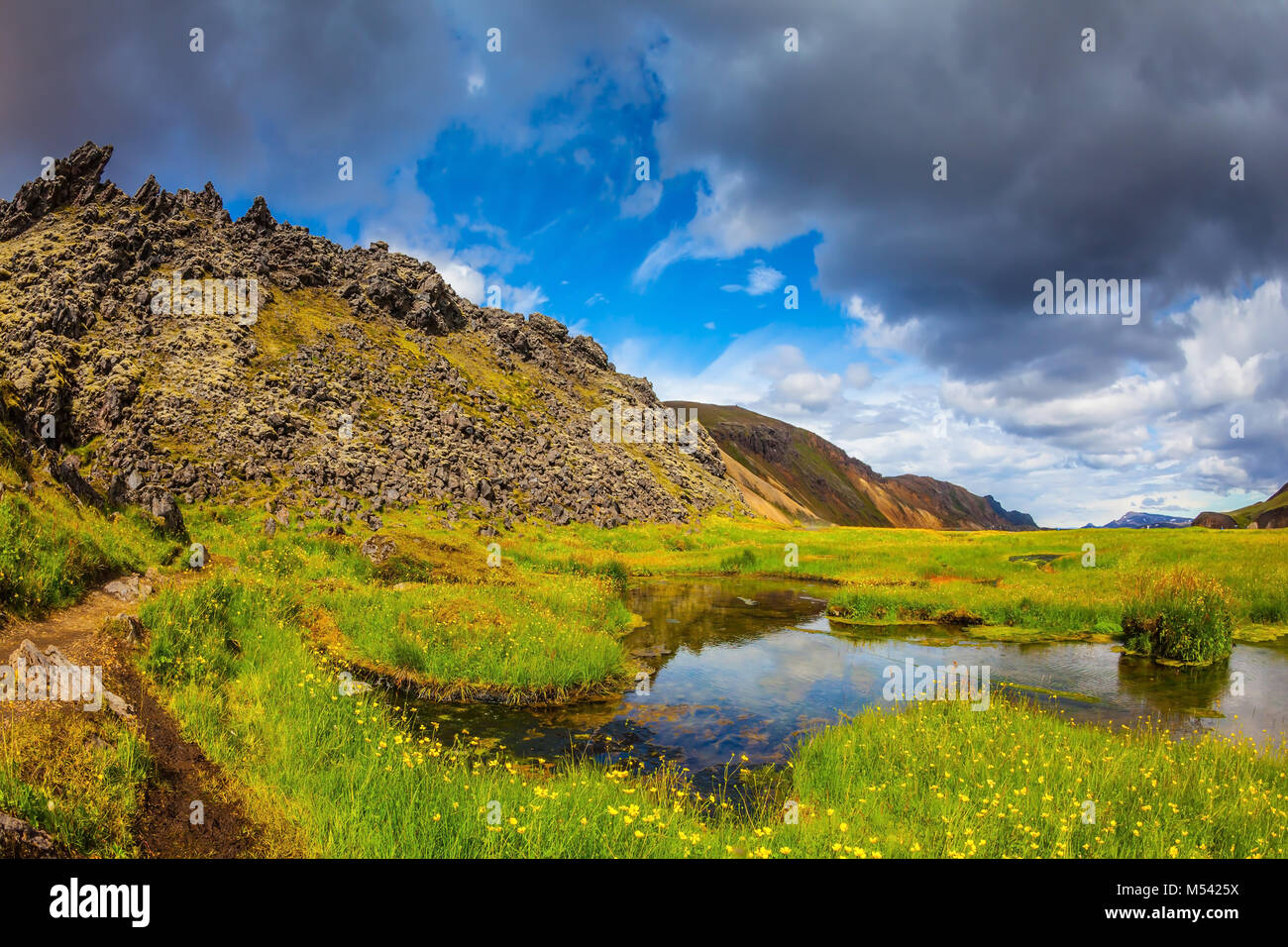 The grass among the thermal springs Stock Photo