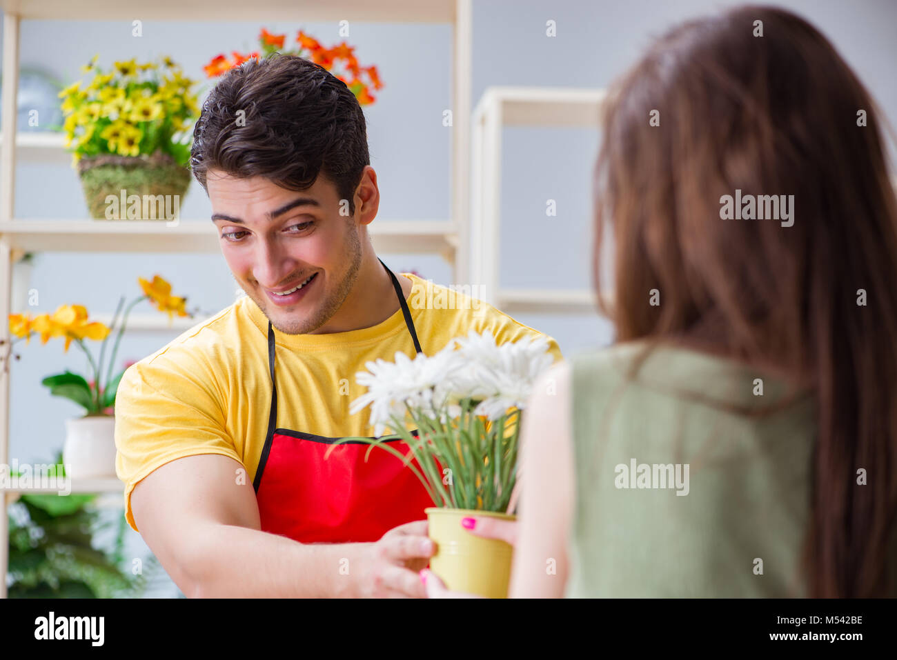 Florist selling flowers in a flower shop Stock Photo Alamy