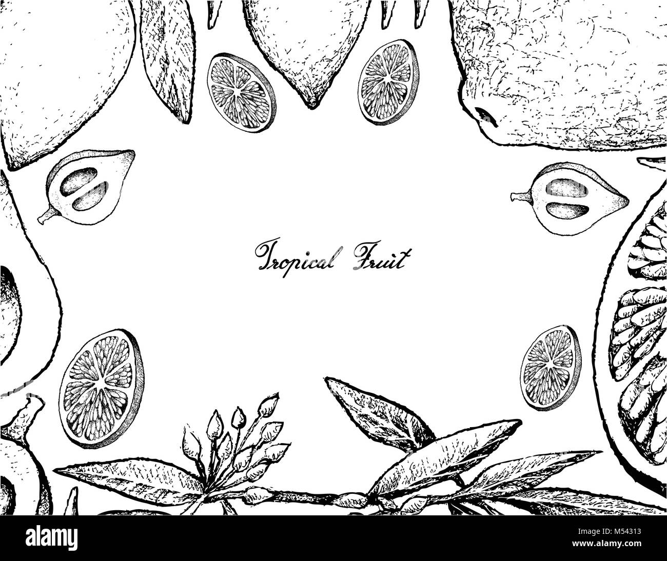 Tropical Fruits, Illustration Frame of Hand Drawn Sketch Fresh and Ripe Limes with Canistel, Sapote or Eggfruit Isolated on White Background. Stock Vector