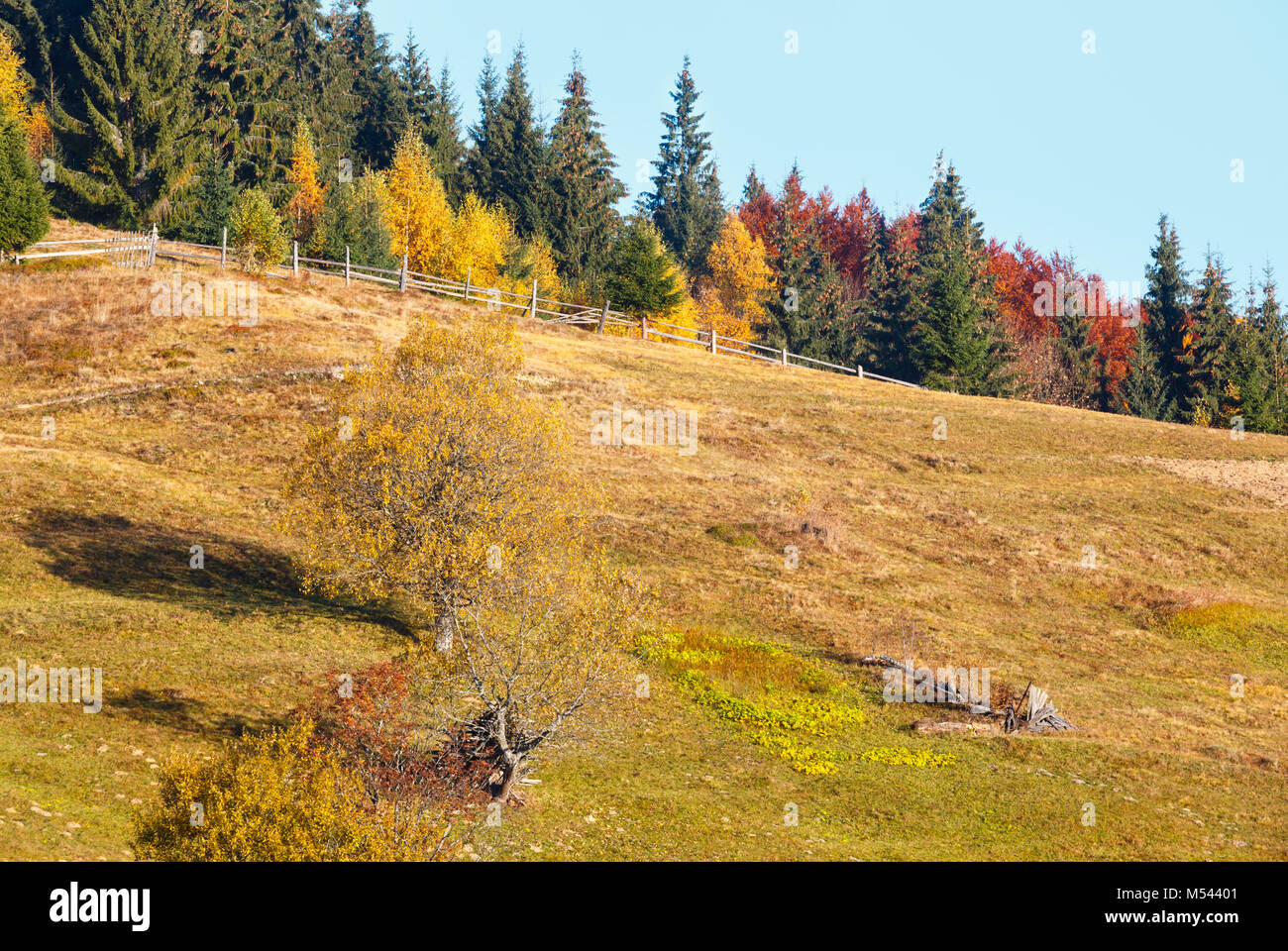 Autumn Carpathian village, Ukraine. Stock Photo