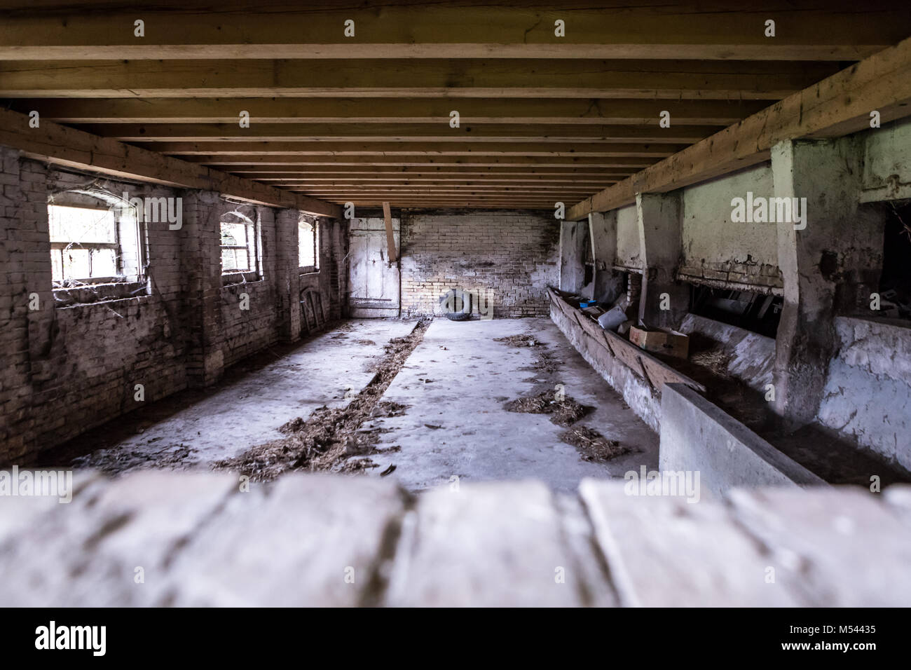 Empty cattle shed - Lost Place Stock Photo