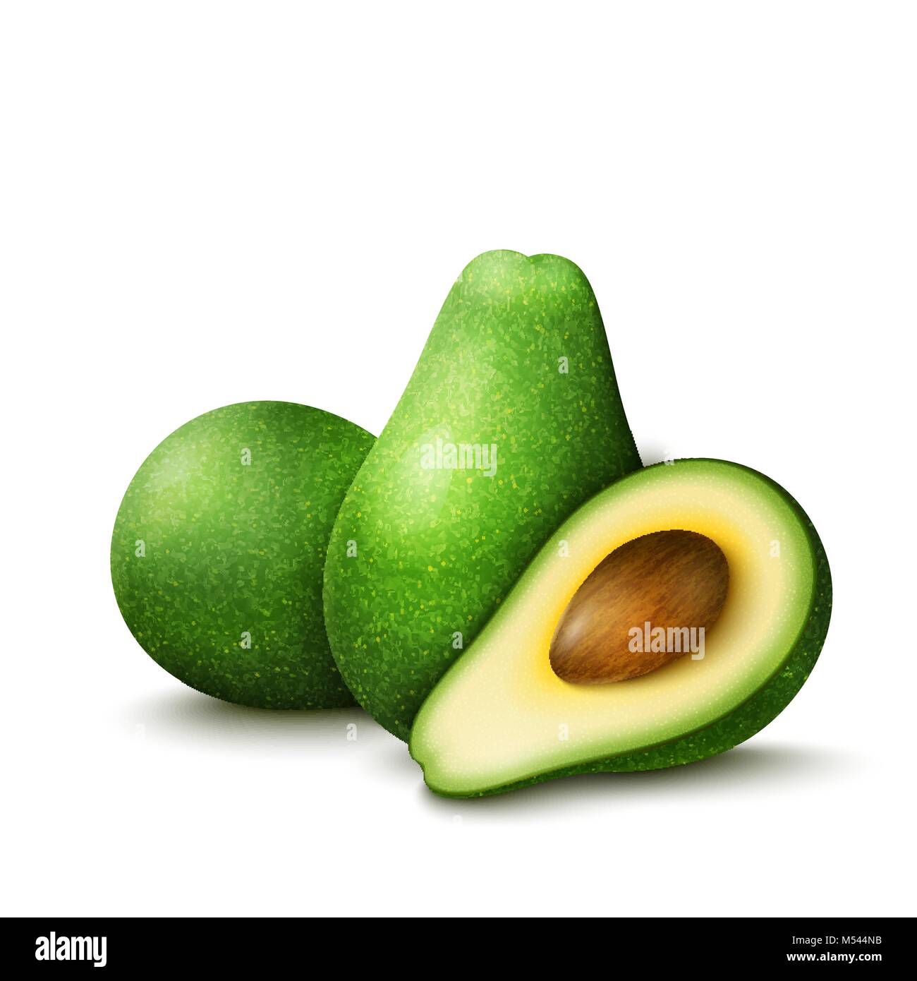 Vector Realistic Fresh Fruit Avocado Isolated On White Background Stock Vector Image Art Alamy