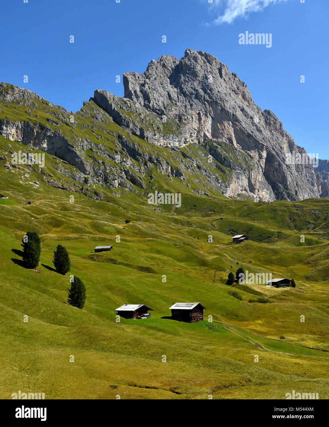 Dolomite alps; South Tyrol; Italy; natural preserve puez-geisler; Stock Photo